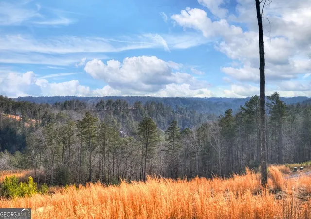 54th image of 28 Mountaintown Overlook, Ellijay, GA 30540 | MLS# 10688196