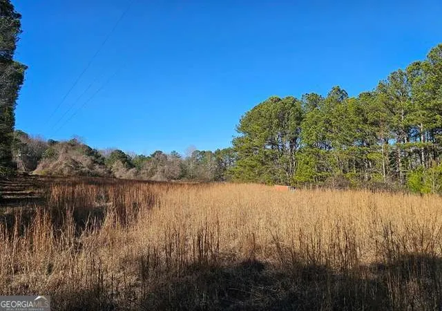 Photo 3 of Land for sale at 0 Daniel Rd, Villa Rica, GA 30180 | MLS# 10827493 | Listing updated on 2026-08-31