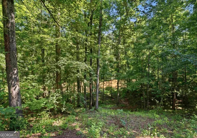 5th image of 216 River Oak Dr, Eatonton, GA 31024 | MLS# 10807046