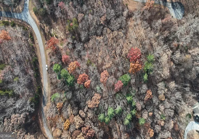 11th image of Lot 198 Northshore Dr, Cleveland, GA 30528 | MLS# 10831293