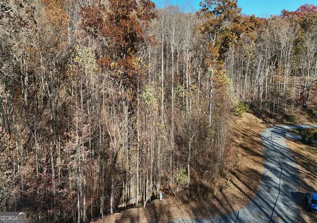 2nd image of Lot 198 Northshore Dr, Cleveland, GA 30528 | MLS# 10831293