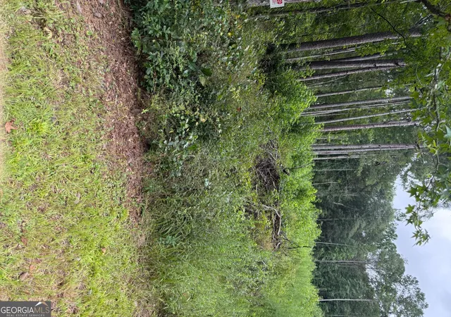 19th image of 0 Maple Trl, Sharpsburg, GA 30277 | MLS# 10776753