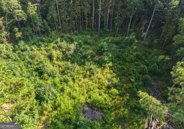 2nd image of 0 Maple Trl, Sharpsburg, GA 30277 | MLS# 10776753