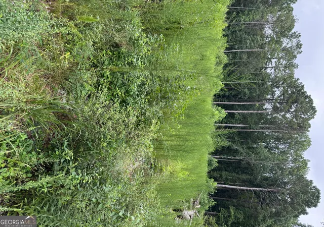 4th image of 0 Maple Trl, Sharpsburg, GA 30277 | MLS# 10776753