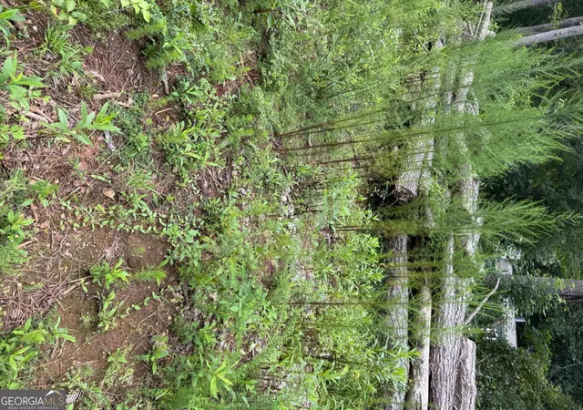 5th image of 0 Maple Trl, Sharpsburg, GA 30277 | MLS# 10776753