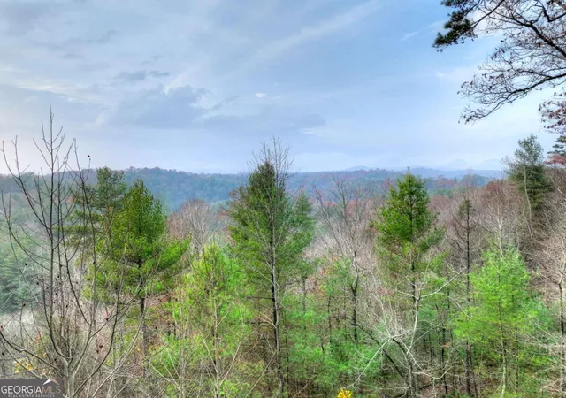 Photo 4 of Single family home for sale at 89 N Whitepath Cir, Ellijay, GA 30540 | MLS# 10771539 | Listing updated on 2026-06-23