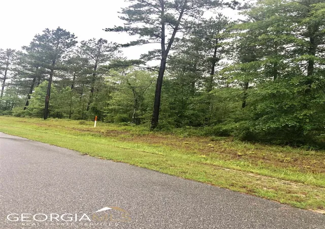 2nd image of 0 Grey Wolf Trl #LOT 151, Dublin, GA 31021 | MLS# 20128152