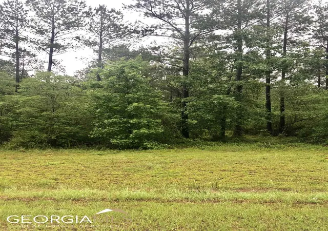 6th image of 0 Grey Wolf Trl #LOT 151, Dublin, GA 31021 | MLS# 20128152