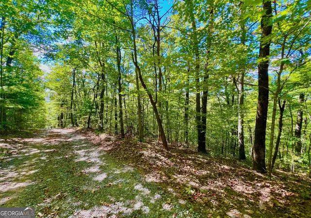 Photo 1 of Sale Pending at 0 Double Knob Rd, Ellijay, GA 30540 | MLS# 10618992 | Listing updated on 2026-10-07