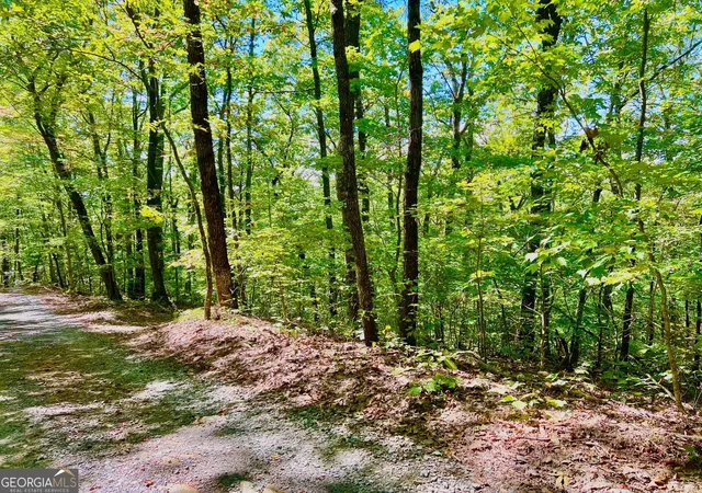 Photo 2 of Sale Pending at 0 Double Knob Rd, Ellijay, GA 30540 | MLS# 10618992 | Listing updated on 2026-10-07