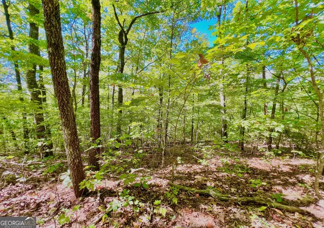 Photo 3 of Sale Pending at 0 Double Knob Rd, Ellijay, GA 30540 | MLS# 10618992 | Listing updated on 2026-10-07