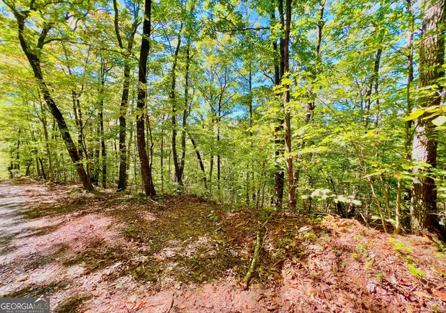 Photo 3 of Sale Pending at 0 Double Knob Rd, Ellijay, GA 30540 | MLS# 10618992 | Listing updated on 2026-10-07