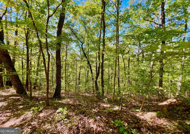 Photo 4 of Sale Pending at 0 Double Knob Rd, Ellijay, GA 30540 | MLS# 10618992 | Listing updated on 2026-10-07