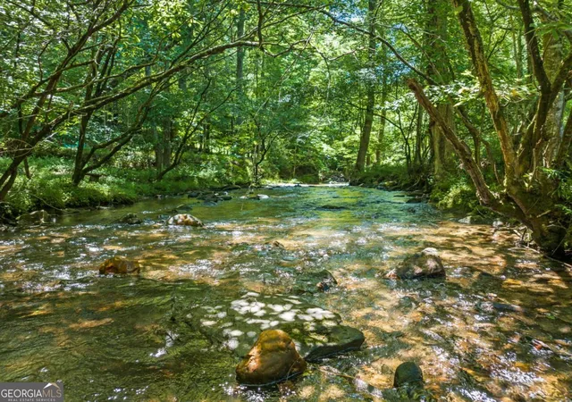 5th image of Lot 8 Tipton Ct, Cherry Log, GA 30522 | MLS# 10798904