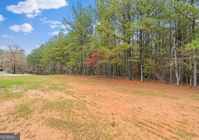 Homes for sale in Roanoke, AL | 496 Mary Dr, Roanoke, AL 36274 | MLS# 10668239