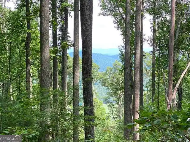 Photo 1 of Land for sale at Lot 1 High Country Ln, Morganton, GA 30560 | MLS# 10756888 | Listing updated on 2026-09-26