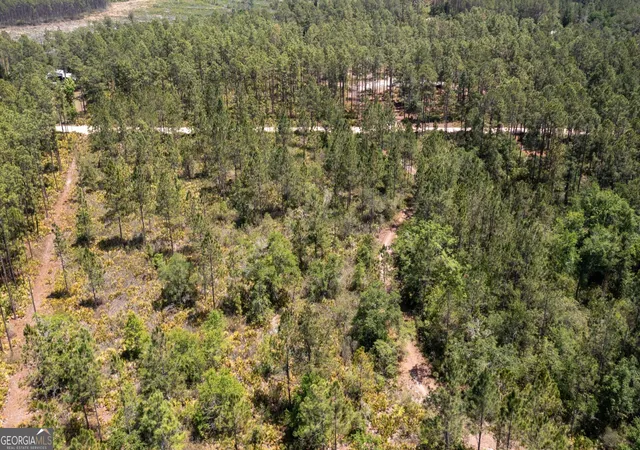 28th image of 779 Ralph Davis Rd #1 LAND LOT, Folkston, GA 31537 | MLS# 10756131