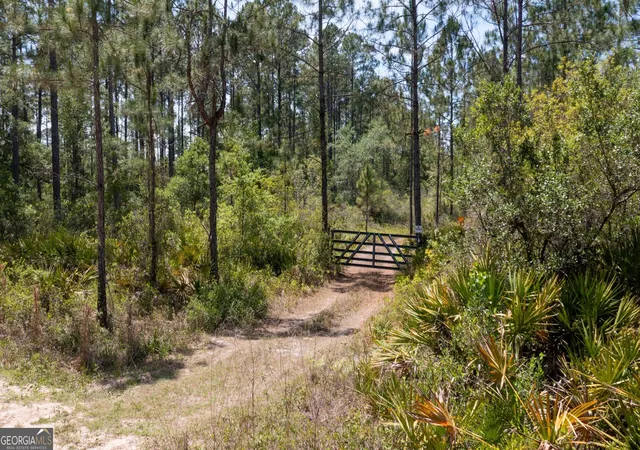 2nd image of 779 Ralph Davis Rd #1 LAND LOT, Folkston, GA 31537 | MLS# 10756131