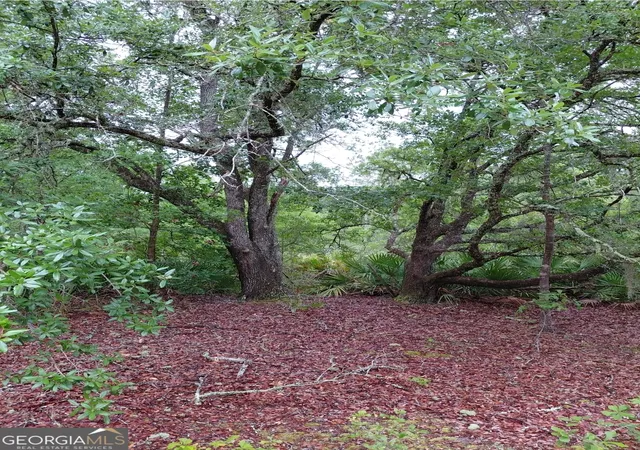 3rd image of 779 Ralph Davis Rd #1 LAND LOT, Folkston, GA 31537 | MLS# 10756131