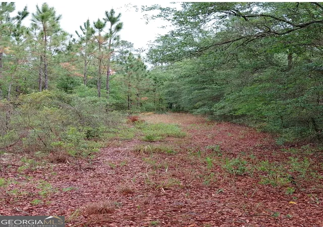 4th image of 779 Ralph Davis Rd #1 LAND LOT, Folkston, GA 31537 | MLS# 10756131