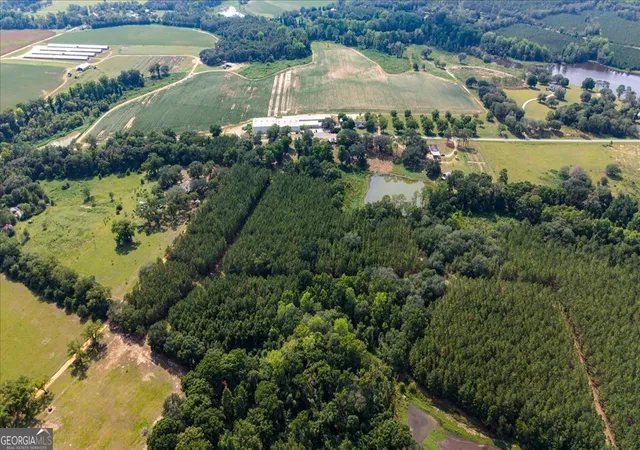 Photo 3 of Land for sale at 45 Nease Rd, Glennville, GA 30427 | MLS# 10813775 | Listing updated on 2026-09-13
