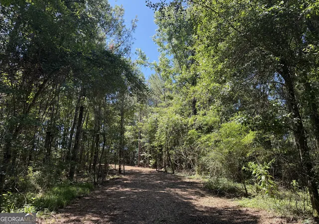 Homes for sale in Ashford, AL | 005G Wallace Buie Rd, Ashford, AL 36376 | MLS# 10804912