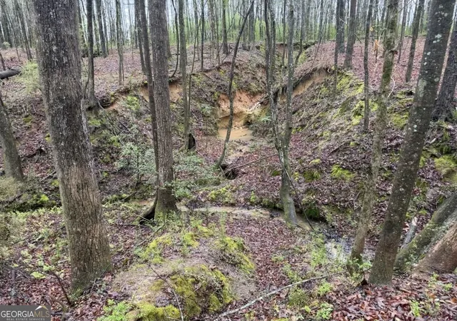 Photo 2 of Land for sale at 1791 Mcress Gin Rd, Watkinsville, GA 30677 | MLS# 10719136 | Listing updated on 2026-05-02