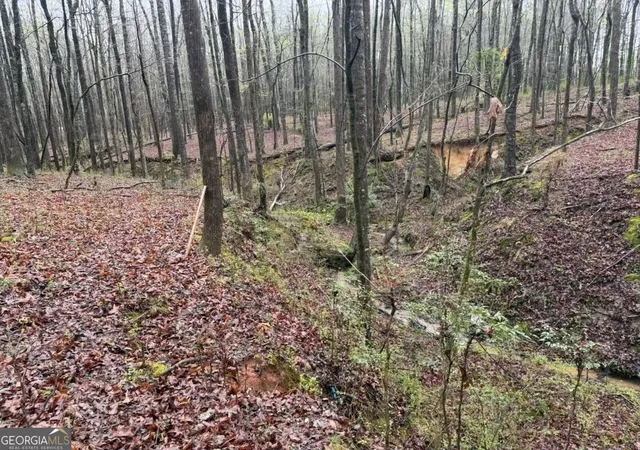 Photo 3 of Land for sale at 1791 Mcress Gin Rd, Watkinsville, GA 30677 | MLS# 10719136 | Listing updated on 2026-05-02