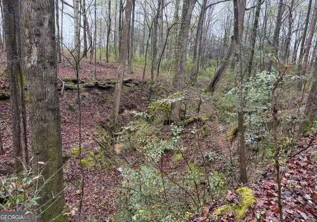 Photo 4 of Land for sale at 1791 Mcress Gin Rd, Watkinsville, GA 30677 | MLS# 10719136 | Listing updated on 2026-05-02