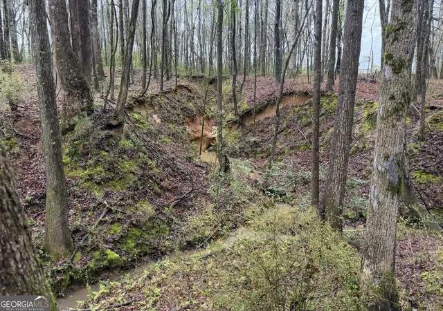 Photo 8 of Land for sale at 1791 Mcress Gin Rd, Watkinsville, GA 30677 | MLS# 10719136 | Listing updated on 2026-05-02