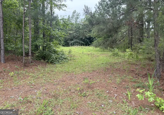 Photo 3 of Land for sale at 0 Hwy 80 W, Portal, GA 30450 | MLS# 10535643 | Listing updated on 2025-06-17