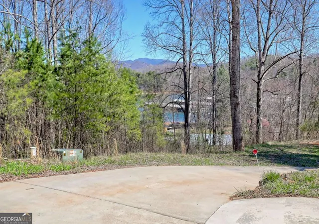 3rd image of 521 Sunnyside Rd, Hiawassee, GA 30546 | MLS# 10792500