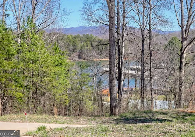 4th image of 521 Sunnyside Rd, Hiawassee, GA 30546 | MLS# 10792500