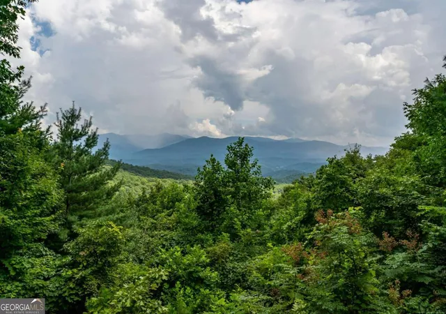 58th image of 32 Little Amy Creek Trl, Ellijay, GA 30540 | MLS# 10826193