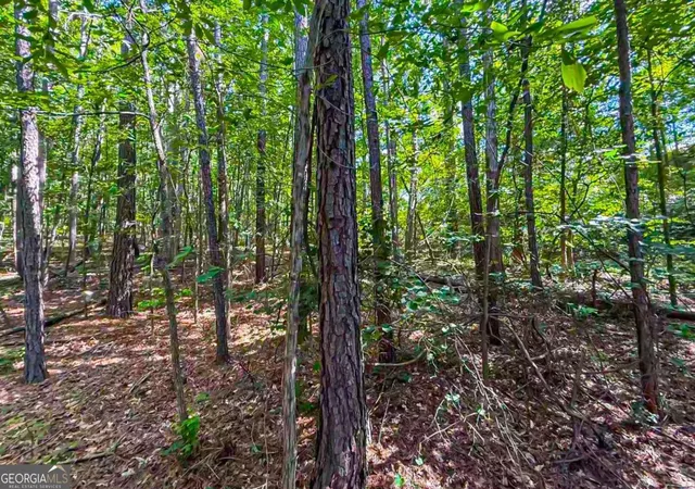 10th image of 230 Industrial Park Dr, Commerce, GA 30529 | MLS# 10817275