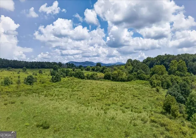 14th image of 2627 Jones Mountain Rd, Talking Rock, GA 30175 | MLS# 10831707