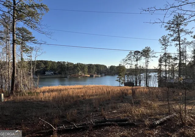 2nd image of Lot 4 Sugar Bear Rd, Sparta, GA 31087 | MLS# 10810231