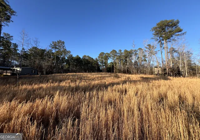 Photo 4 of Land for sale at Lot 4 Sugar Bear Rd, Sparta, GA 31087 | MLS# 10810231 | Listing updated on 2026-08-05