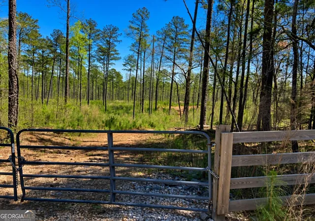 Photo 1 of Land for sale at 2920 Airline Rd, Mcdonough, GA 30252 | MLS# 10833300 | Listing updated on 2026-09-04