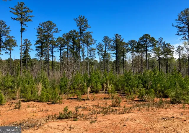 Photo 3 of Land for sale at 2920 Airline Rd, Mcdonough, GA 30252 | MLS# 10833300 | Listing updated on 2026-09-04