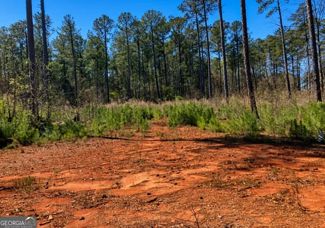 Photo 4 of Land for sale at 2920 Airline Rd, Mcdonough, GA 30252 | MLS# 10833300 | Listing updated on 2026-09-04