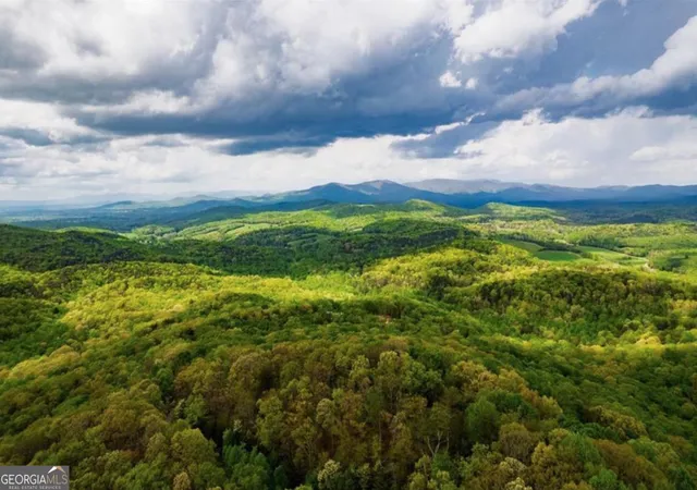 19th image of 4391 Old Burnt Mountain Rd #PART OF C, Ellijay, GA 30536 | MLS# 10775851
