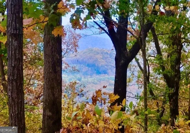 2nd image of 4391 Old Burnt Mountain Rd #PART OF C, Ellijay, GA 30536 | MLS# 10775851