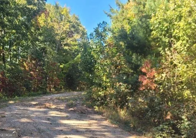 Photo 3 of Land for sale at 4391 Old Burnt Mountain Rd, Ellijay, GA 30536 | MLS# 10775851 | Listing updated on 2026-06-15