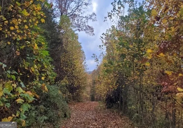 Photo 4 of Land for sale at 4391 Old Burnt Mountain Rd, Ellijay, GA 30536 | MLS# 10775851 | Listing updated on 2026-06-15