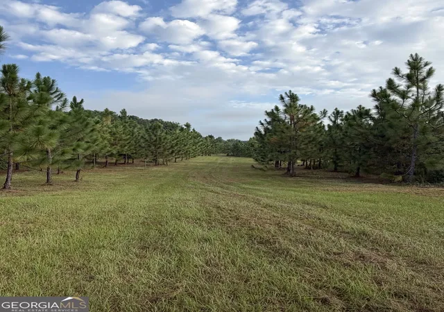 Photo 3 of Land for sale at 0 Oak Grove Road, Pine Mountain, GA 31822 | MLS# 10833839 | Listing updated on 2026-10-03