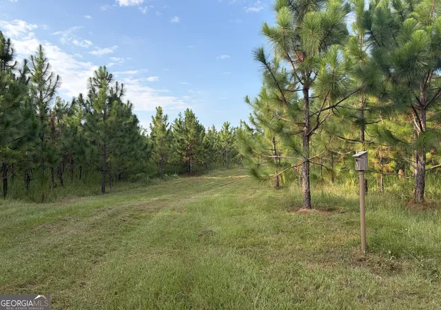 Photo 4 of Land for sale at 0 Oak Grove Road, Pine Mountain, GA 31822 | MLS# 10833839 | Listing updated on 2026-10-03