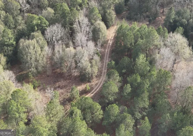Homes for sale in Sylvania, GA | 2 Country Club Rd #LOT 2, Sylvania, GA 30467 | MLS# 10755775