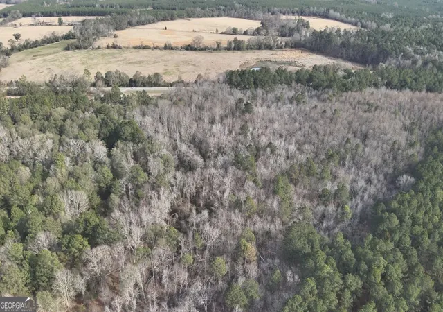 Homes for sale in Sylvania, GA | 2 Country Club Rd #LOT 2, Sylvania, GA 30467 | MLS# 10755775