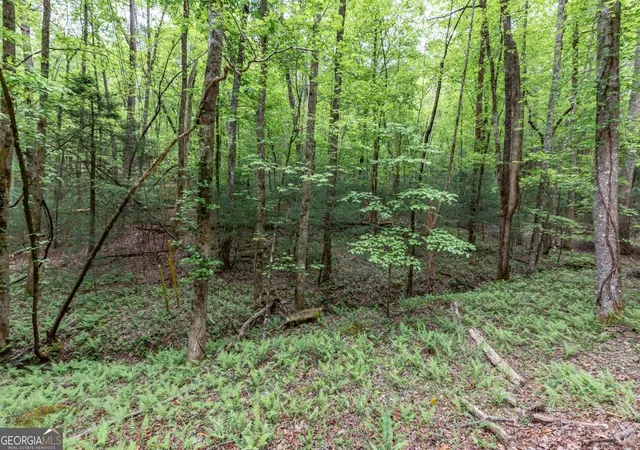 Photo 3 of Land for sale at Lot 17 Lower Gap Rd #17, Sautee Nacoochee, GA 30571 | MLS# 10512823 | Listing updated on 2026-05-25